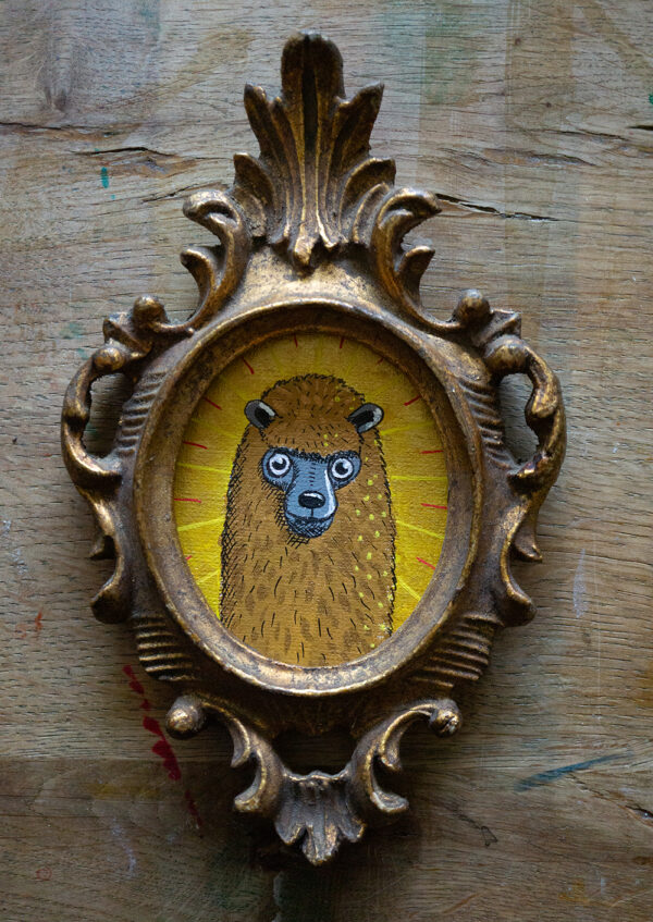 Alpaka Portrait