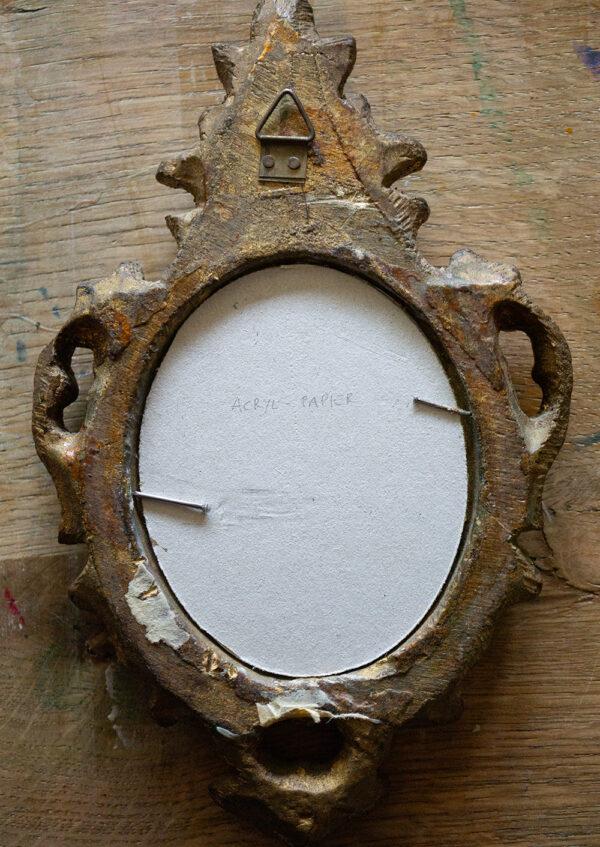 Alpaka Portrait – Bild 2
